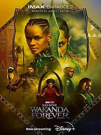 film Black Panther 2 - Wakanda Forever